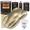 Beige Metallic Basecoat Clearcoat Kit V894487