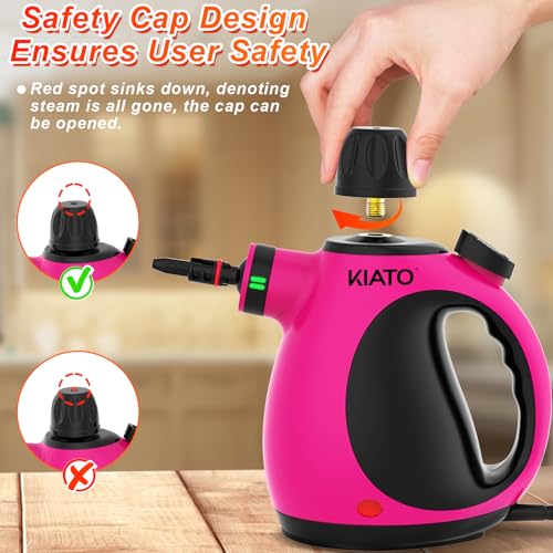 10 in 1 Handheld Steam Cleaner P831665