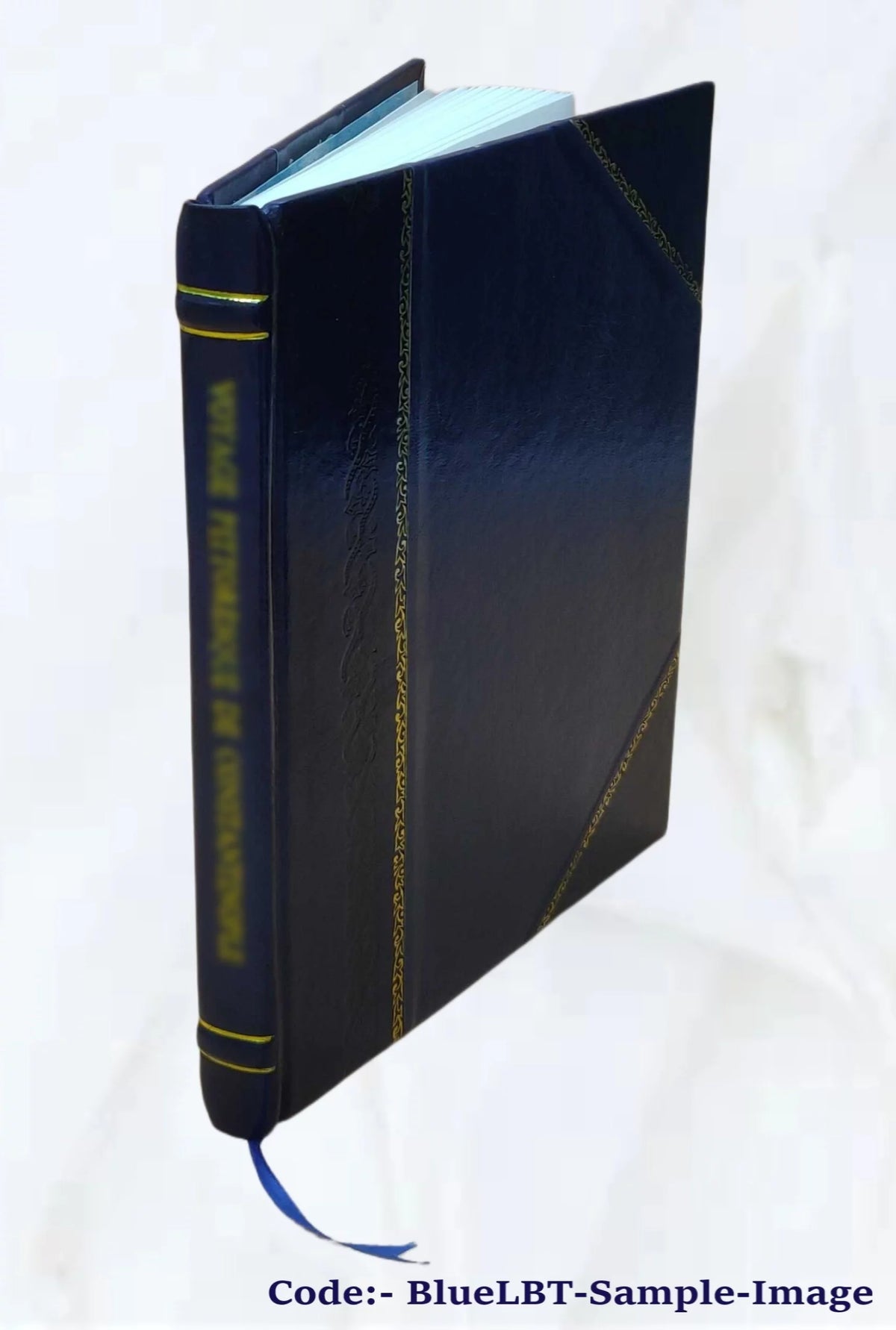 manuel d'hygiène pratique à l'usage du baigneur Leather Bound A19845