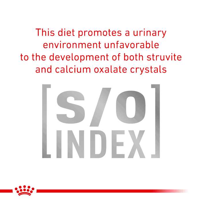 Veterinary Diet Urinary Dog Food Y520159