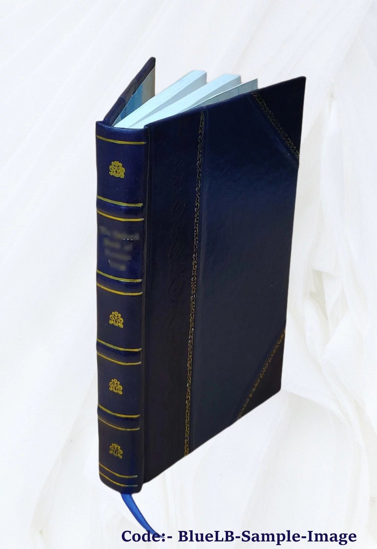 Proceedings of the American Electric Railway Accountants' Association Volume v.29 1925 Leather Bound H451874