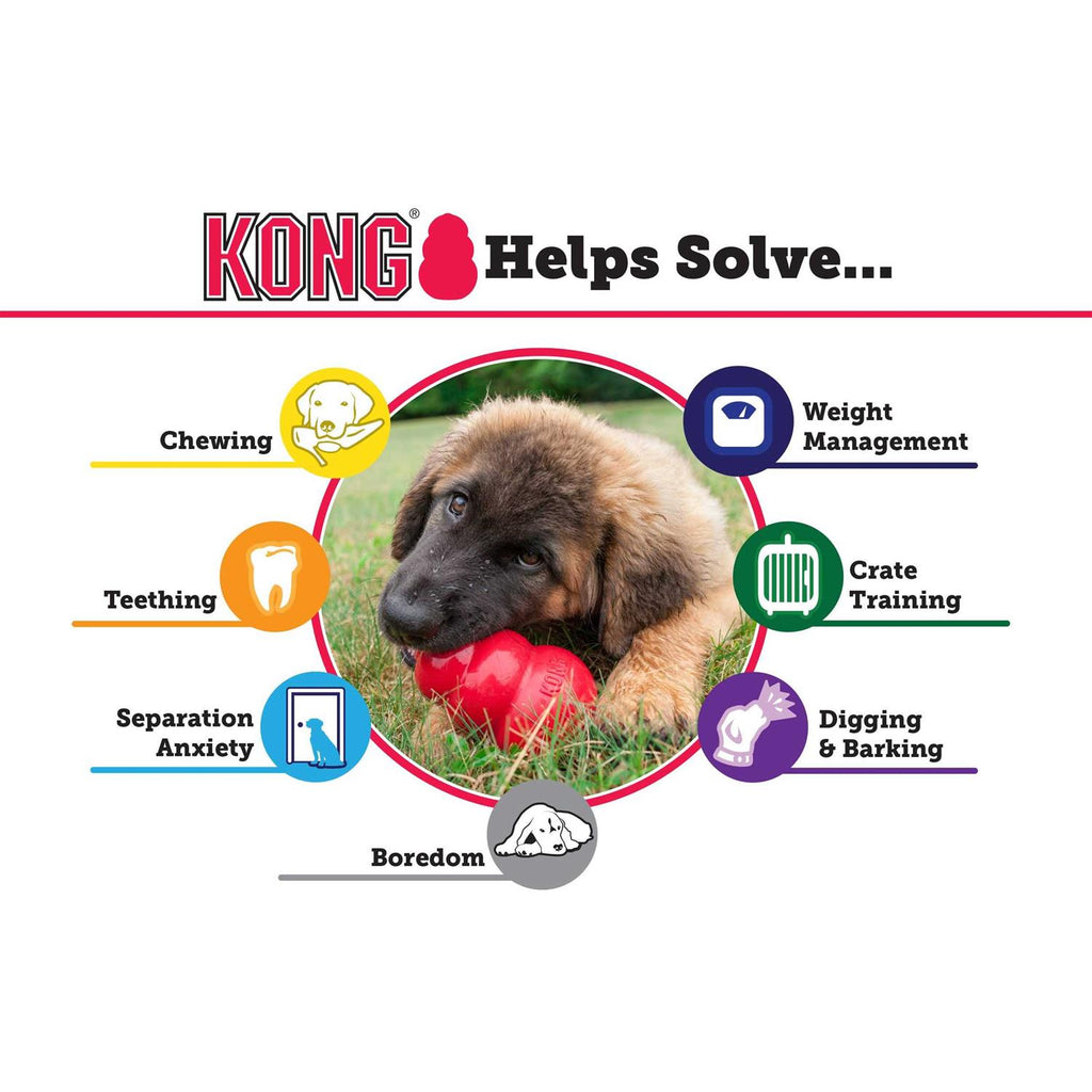 KONG Dog Toy L923150