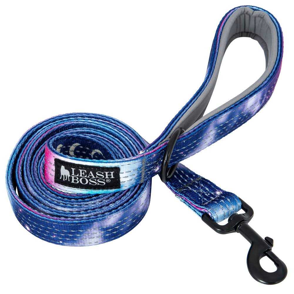 6ft Dog Leash Padded Handle P207