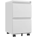 Black 2 Drawer Metal Mobile File Cabinet with Lock I496