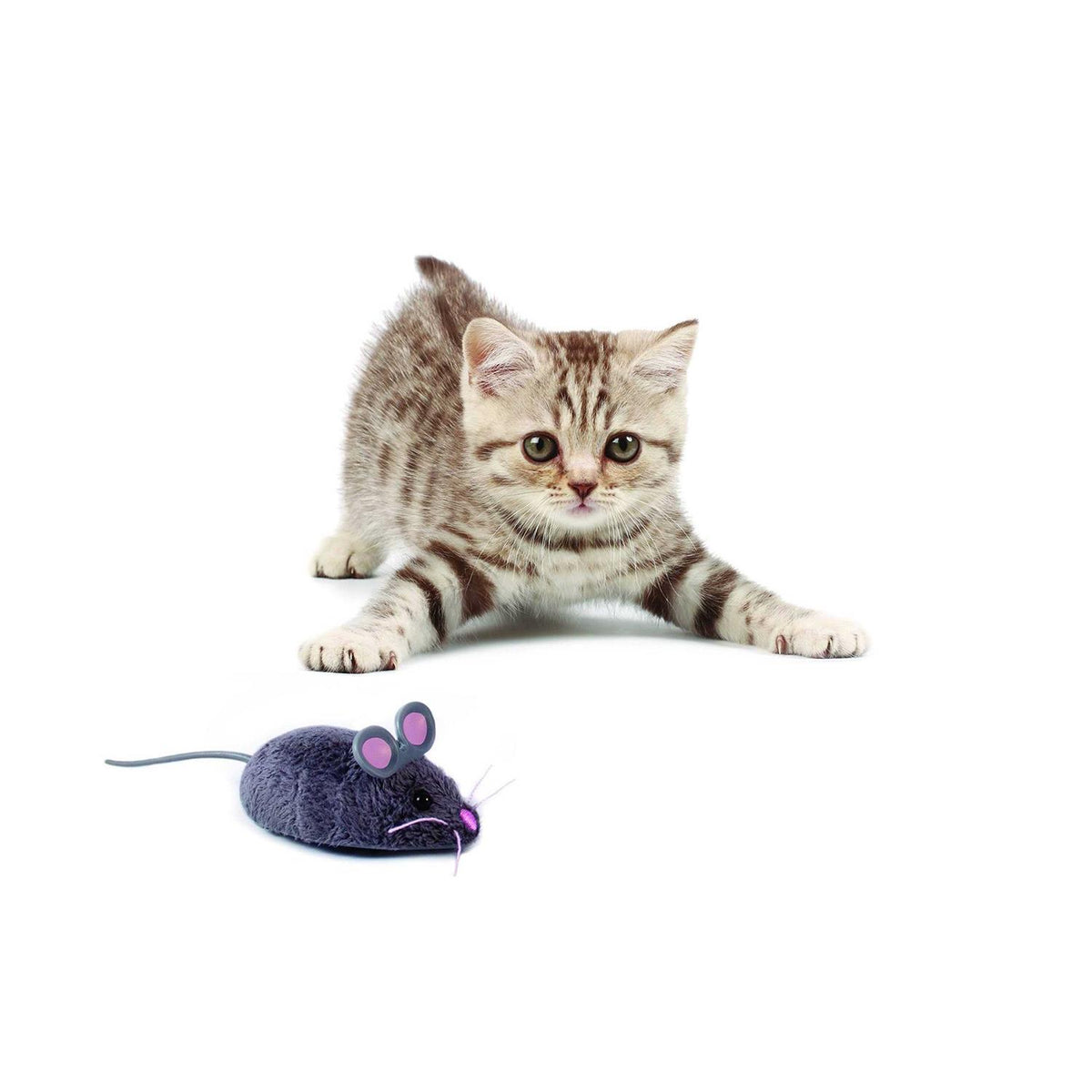 Robotic Cat Toy T278871