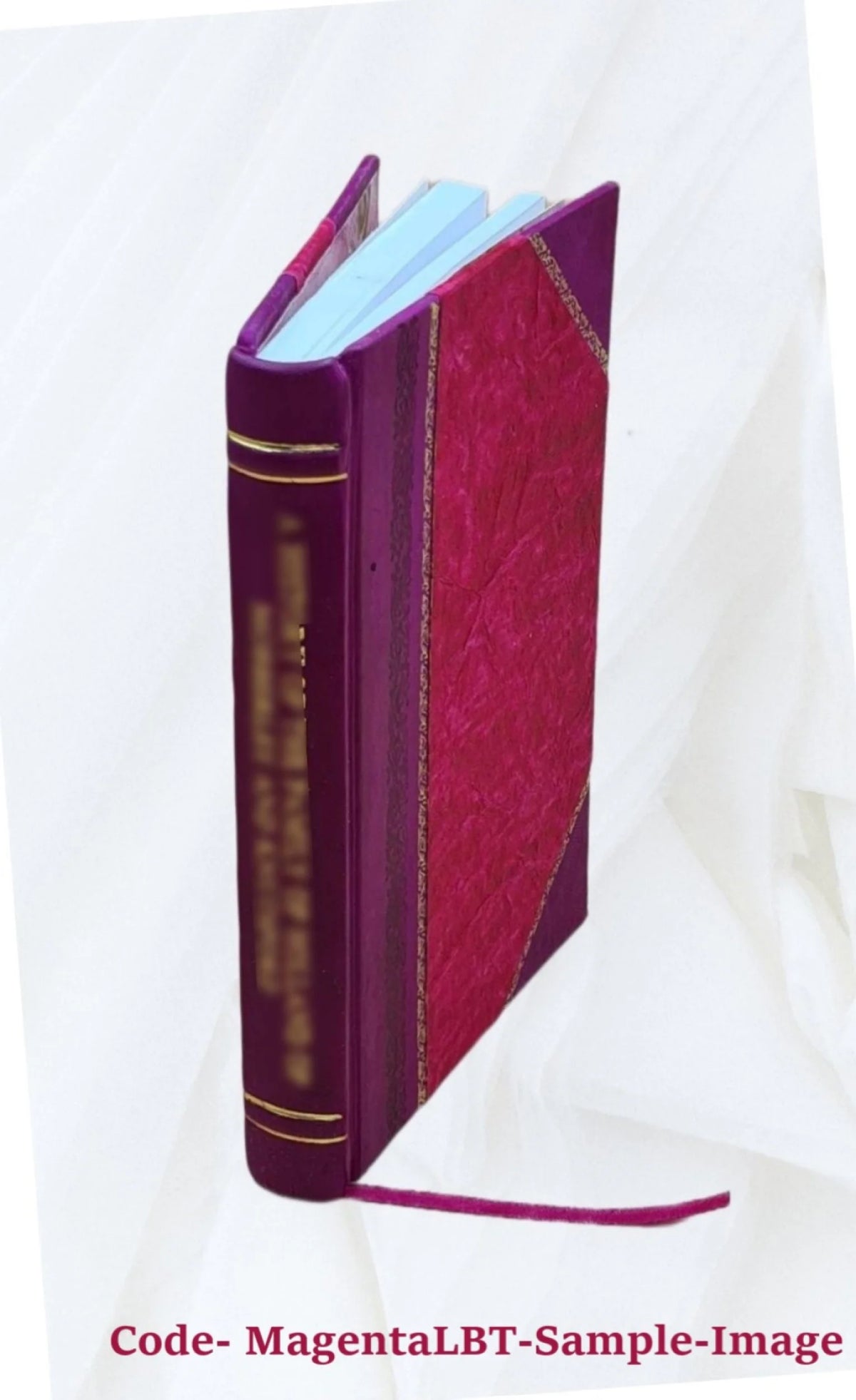 manuel d'hygiène pratique à l'usage du baigneur Leather Bound A19845