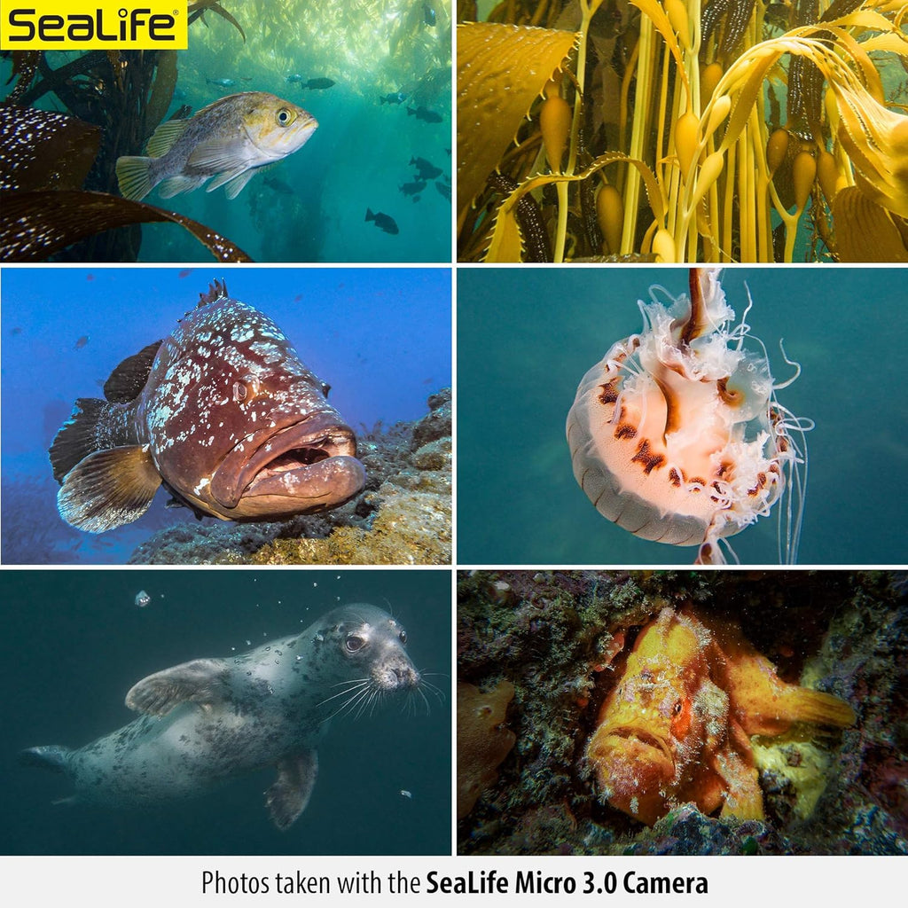 Underwater Camera & Dual Light Set J464908