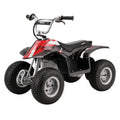 Electric Dirt Quad - Black Z391