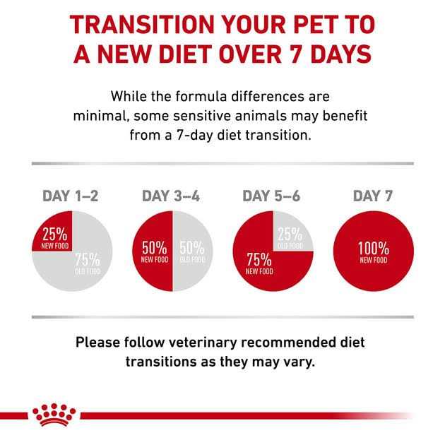 Veterinary Diet Dry Cat Food K13841