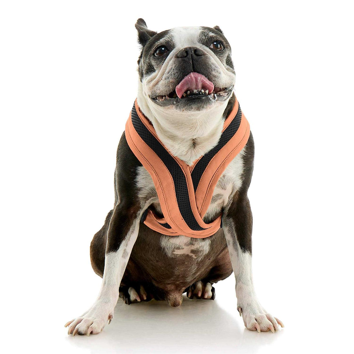 Dog Harness U685