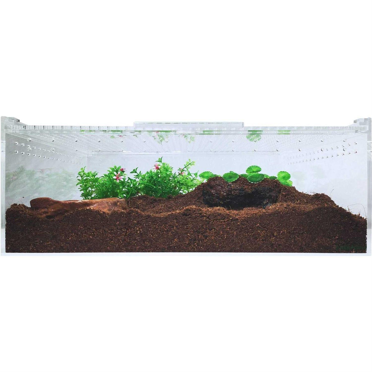 Acrylic Terrarium Extra Large Flat V51094