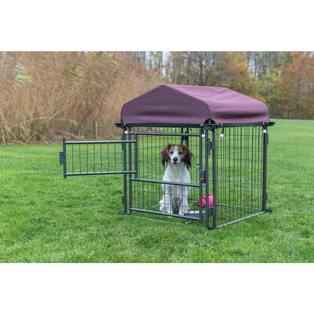 Outdoor Dog Kennel with Cover R175