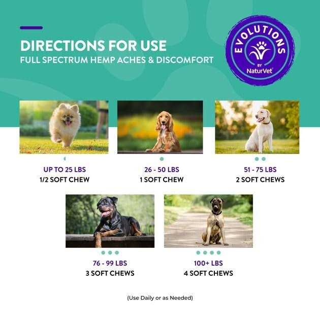 Soft Chew Dog Supplement F478230