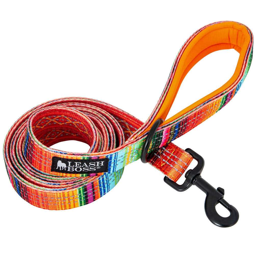 6ft Dog Leash Padded Handle P207