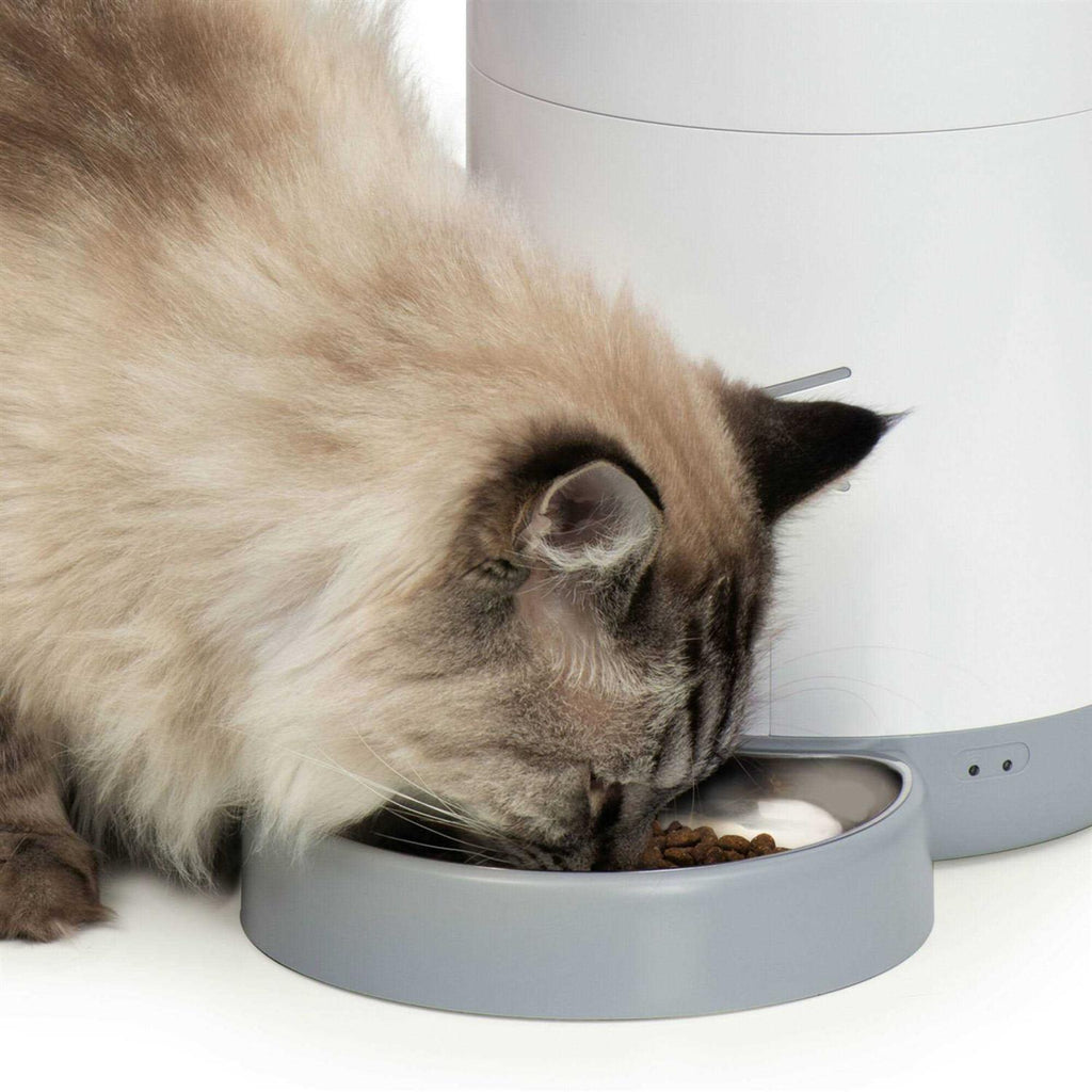 Smart Feeder A778