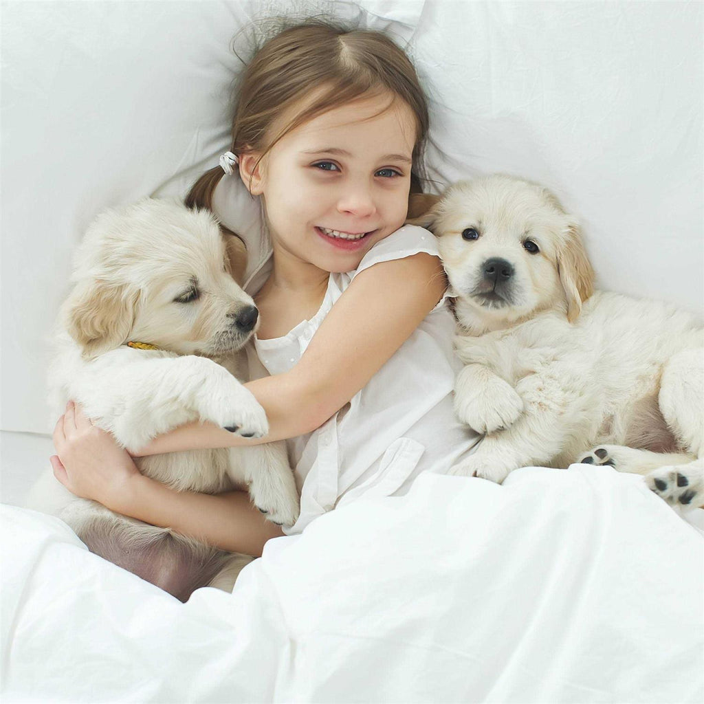 Waterproof Pet Blanket Throw X333