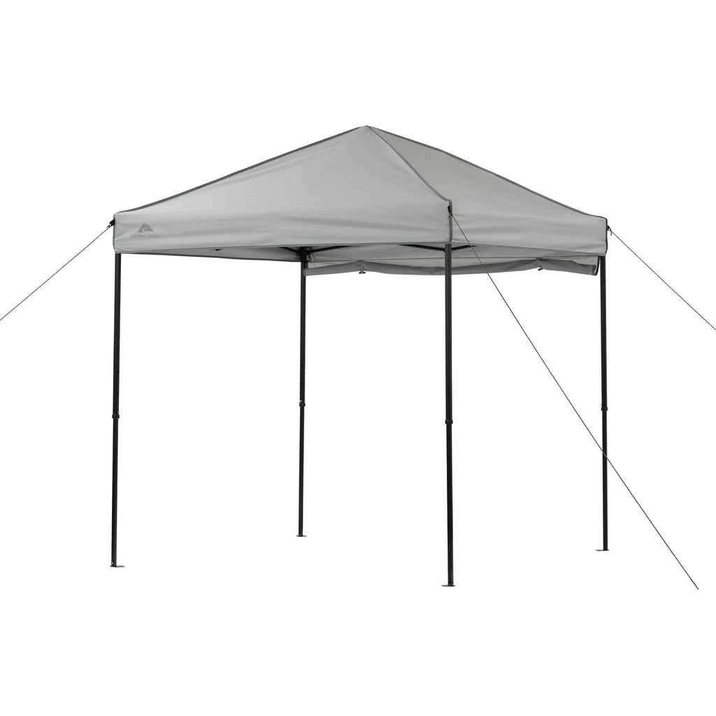 6' x 6' Gray Instant Outdoor Canopy A6606