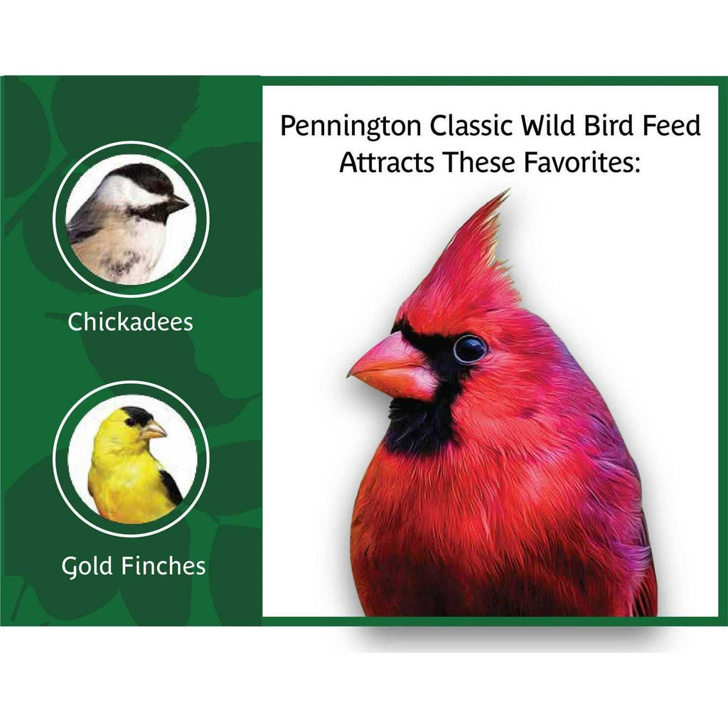Wild Bird Feed and Seed G6191