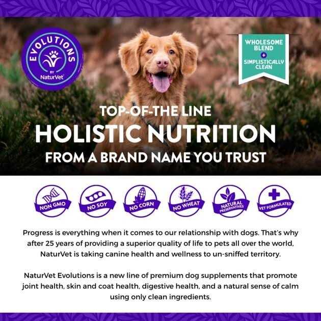 Soft Chew Dog Supplement F478230