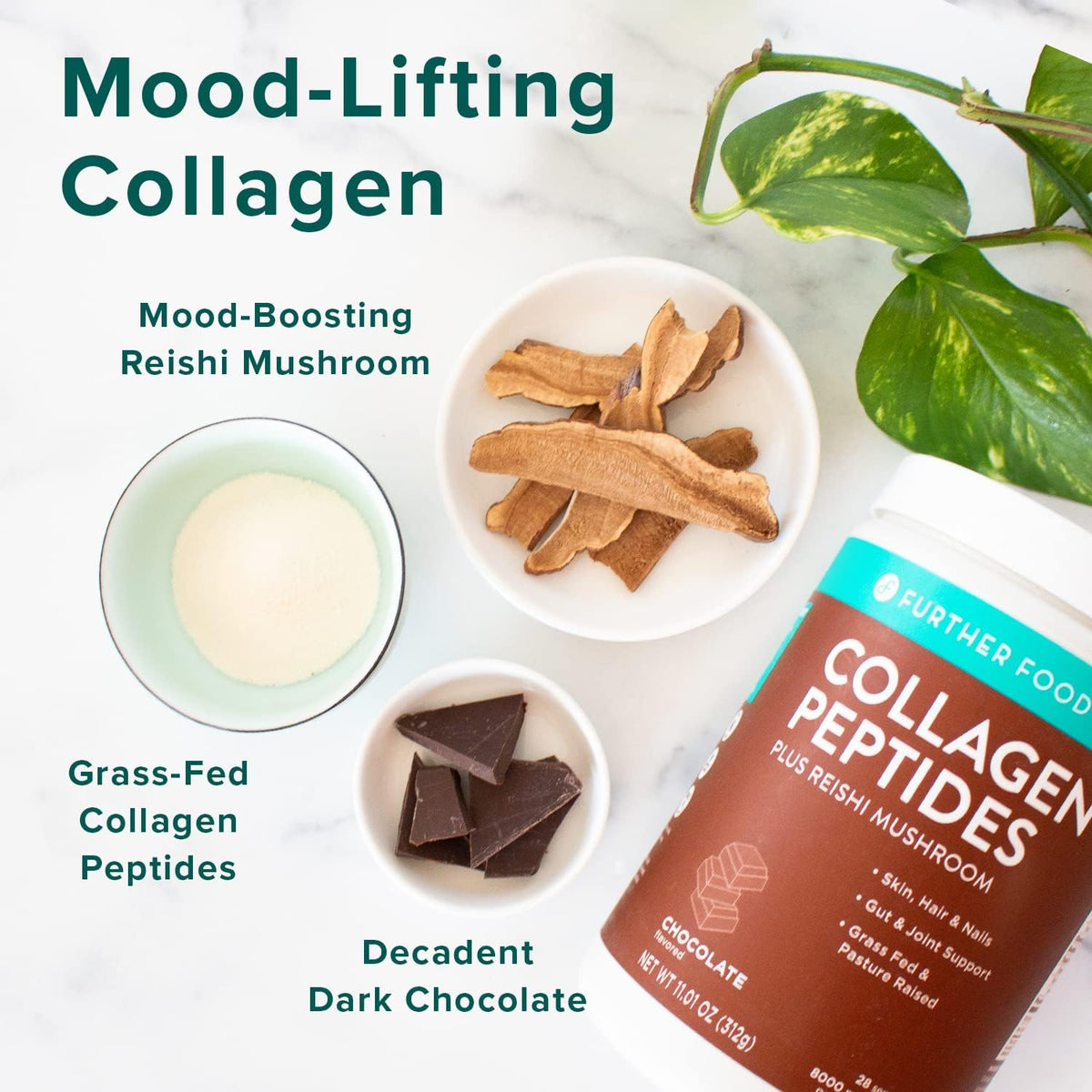 Dark Chocolate Collagen Peptide Powder, 70 Servings Pack of 2 Y14936