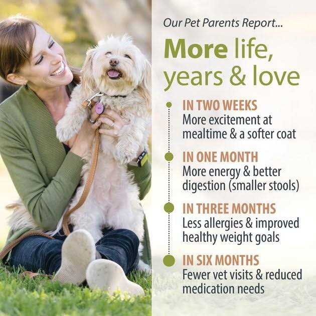 Shelf-Stable Fresh Dog Food P742