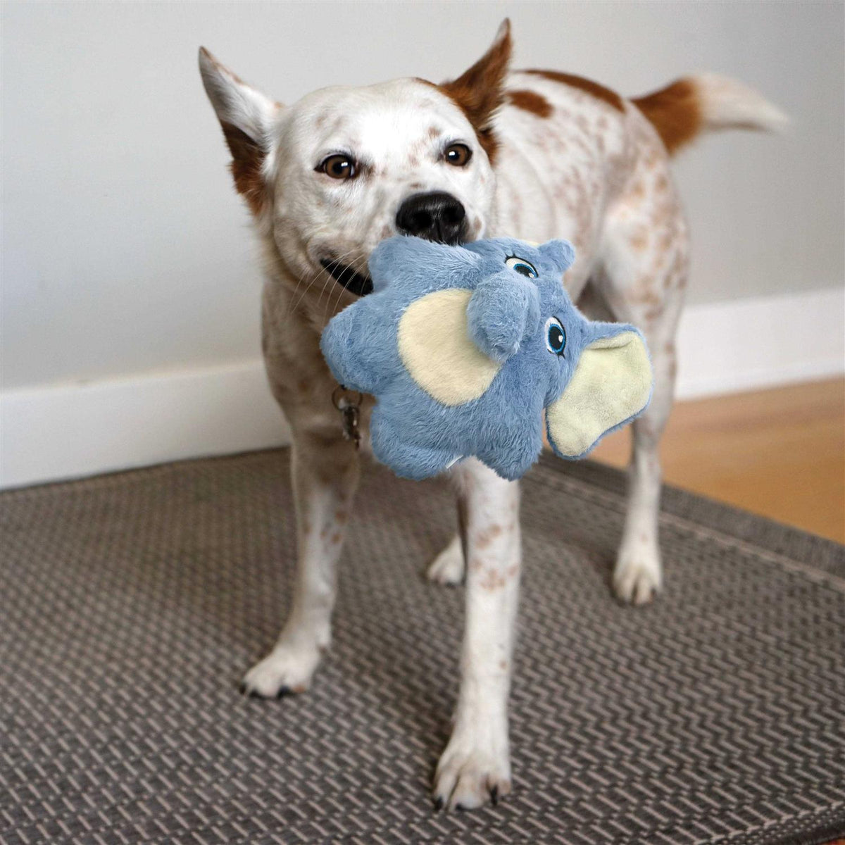 Sloth Dog Toy C702