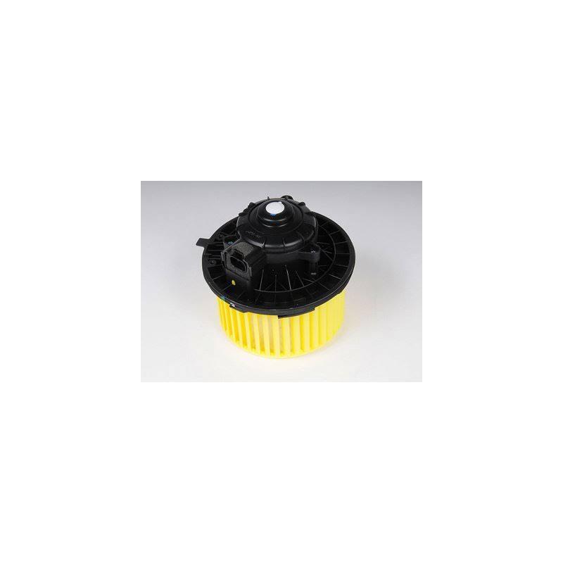Blower Motor W150