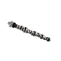 Camshaft B81881