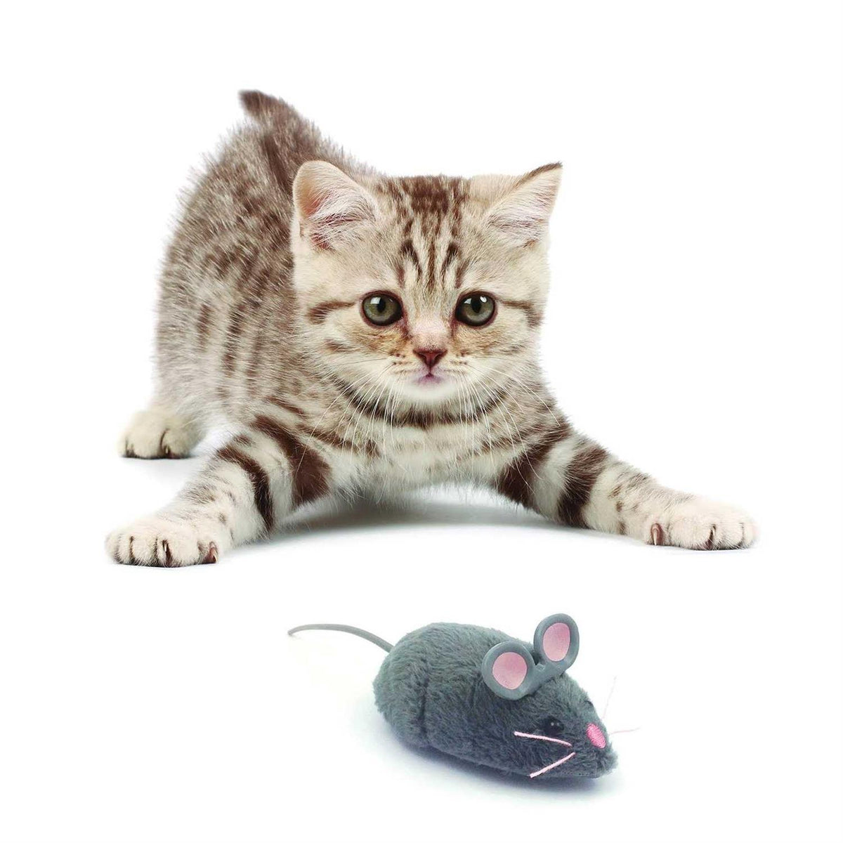 Robotic Cat Toy T278871