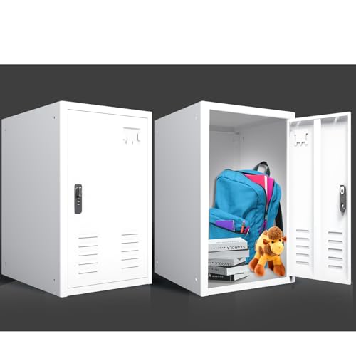 19.7" H Metal Locker Storage Cabinet with 1 Doors M59977