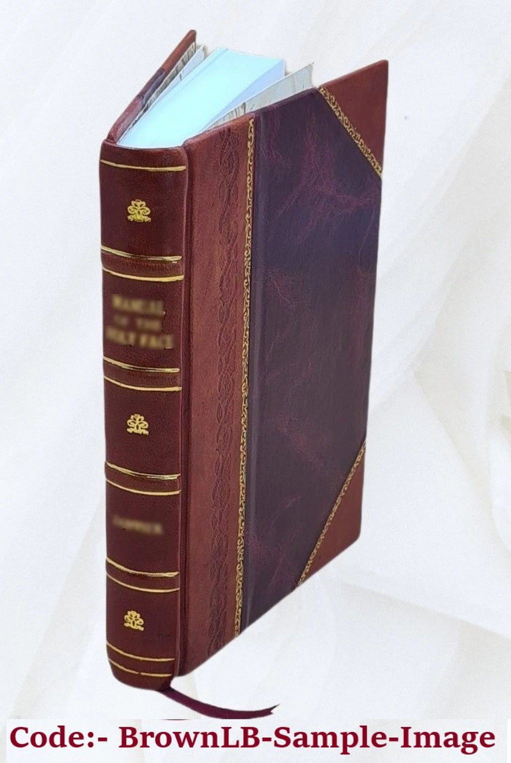 Proceedings of the American Electric Railway Accountants' Association Volume v.29 1925 Leather Bound H451874
