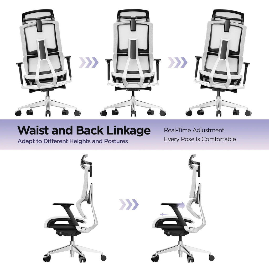 White Ergonomic Office Chair with Lumbar Support Y279722
