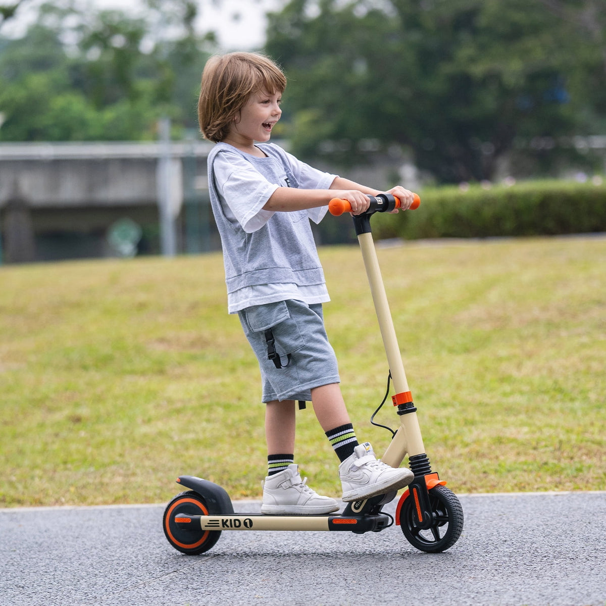 Electric Scooter with 6.5 Rubber Tires, 150W Motor, Foldable L793