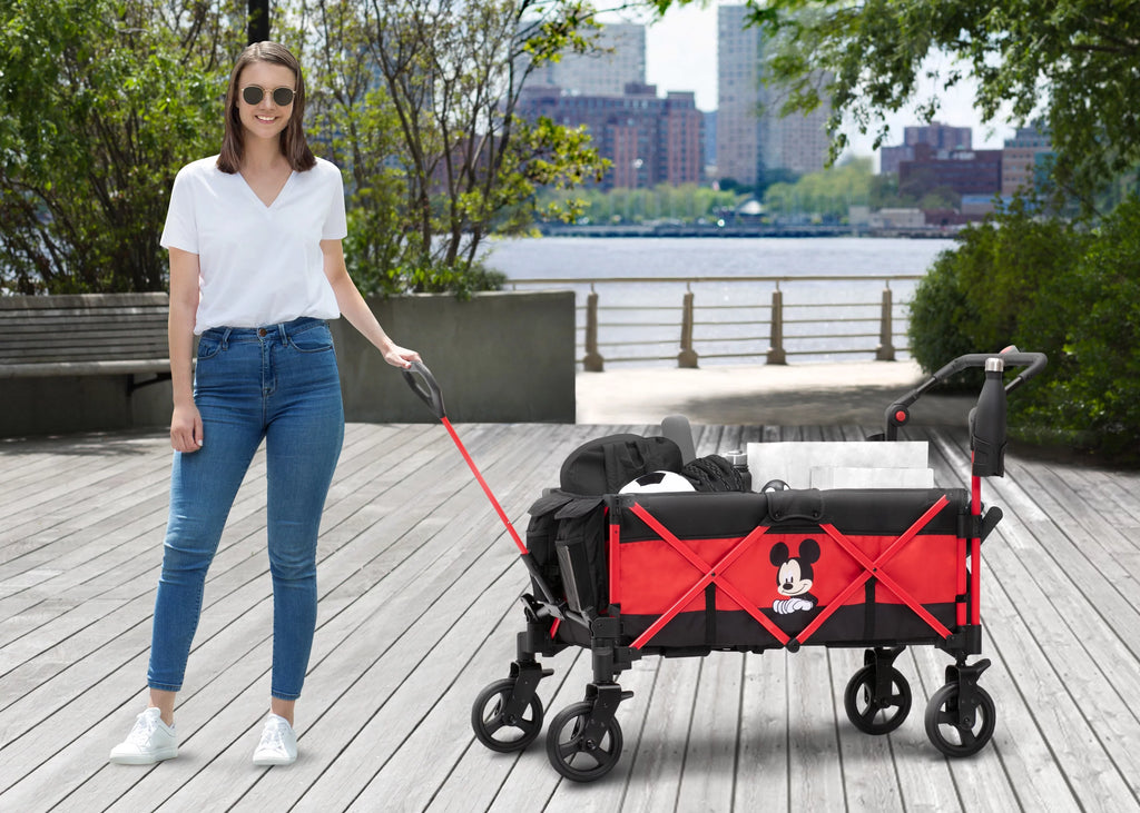 Stroller Wagon Y175789