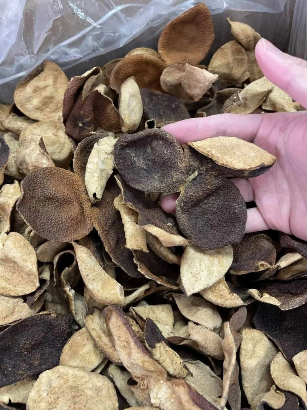 Dried Aged Orange Citrus Peel 200G O8817