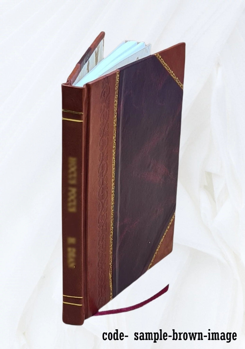 manuel d'hygiène pratique à l'usage du baigneur Leather Bound A19845