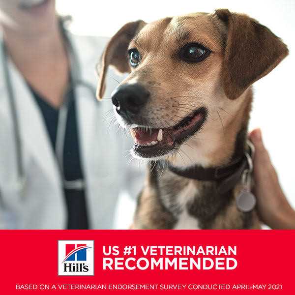 Sensitive Stomach & Skin Small Bites Dry Dog Food D41184