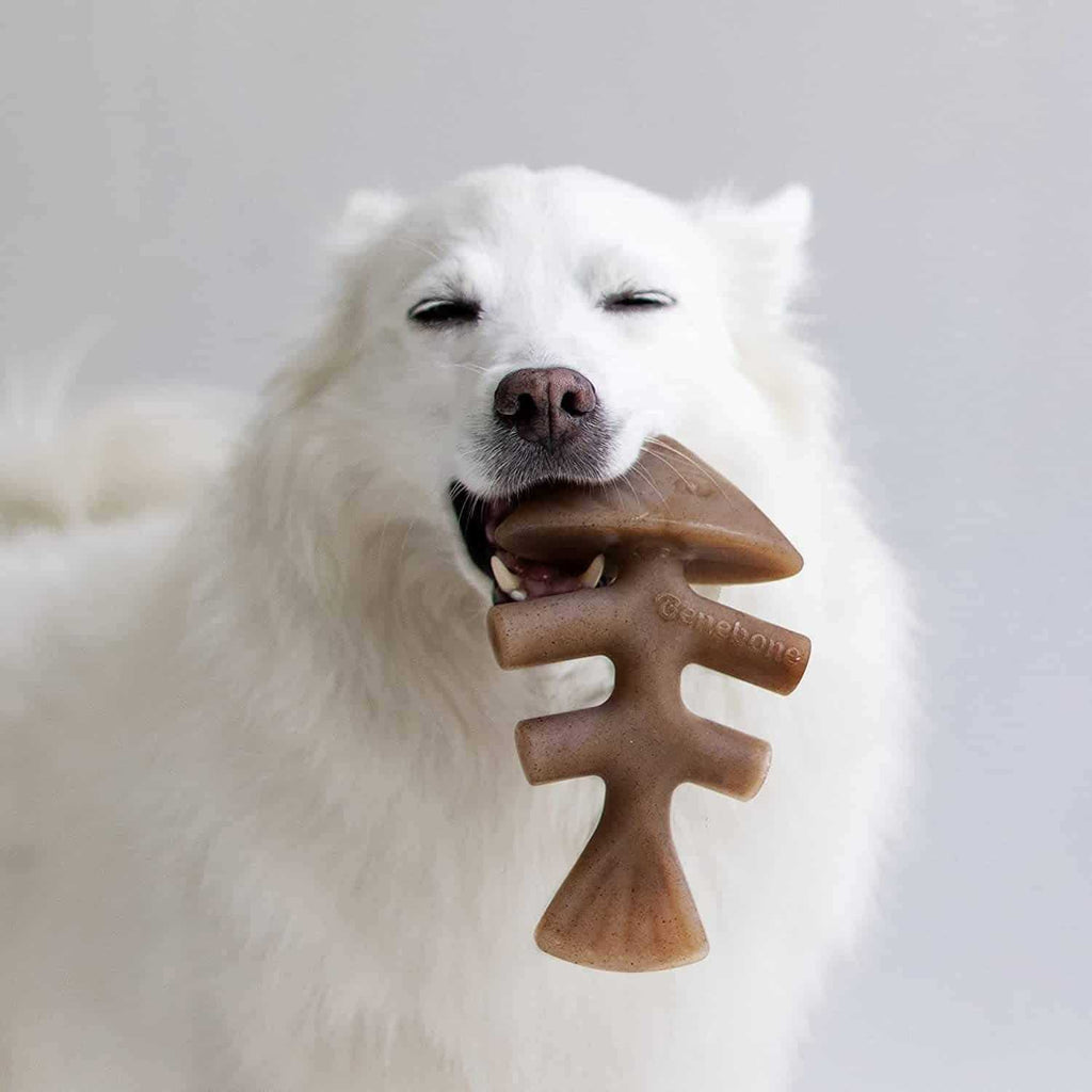Fishbone Dog Chew Q853