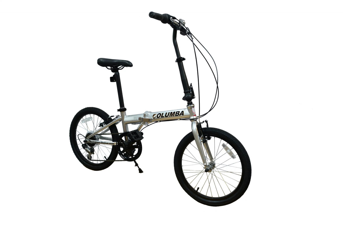 Folding Bike Silver D653