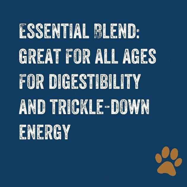 Premium Dog Food X997