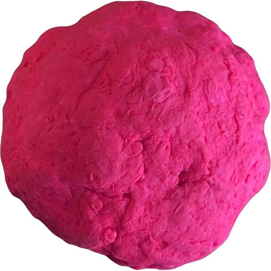 Fetch Dog Toy I683