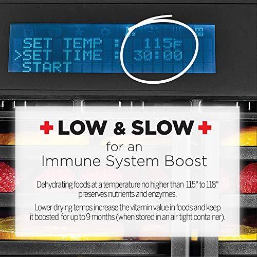 Electric Food Dehydrator with Adjustable Thermostat R793770