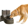 Outdoor Plastic Dog & Cat Fountain N5966