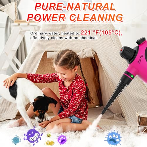 10 in 1 Handheld Steam Cleaner P831665