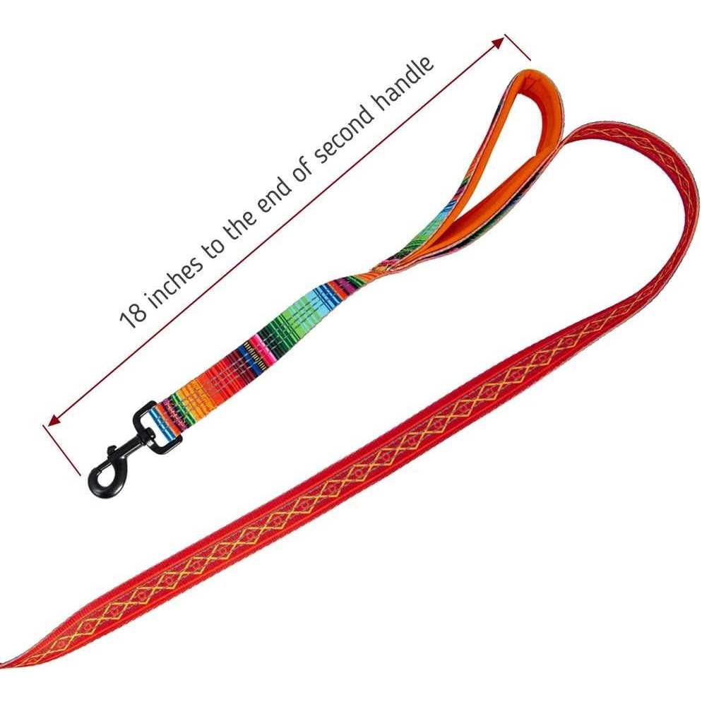 6ft Dog Leash Padded Handle P207