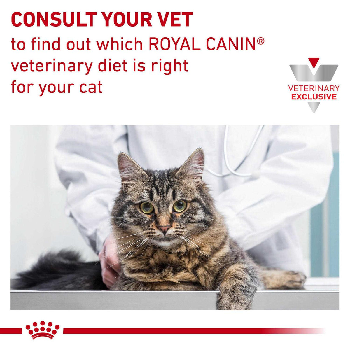 Veterinary Diet Dry Cat Food K13841