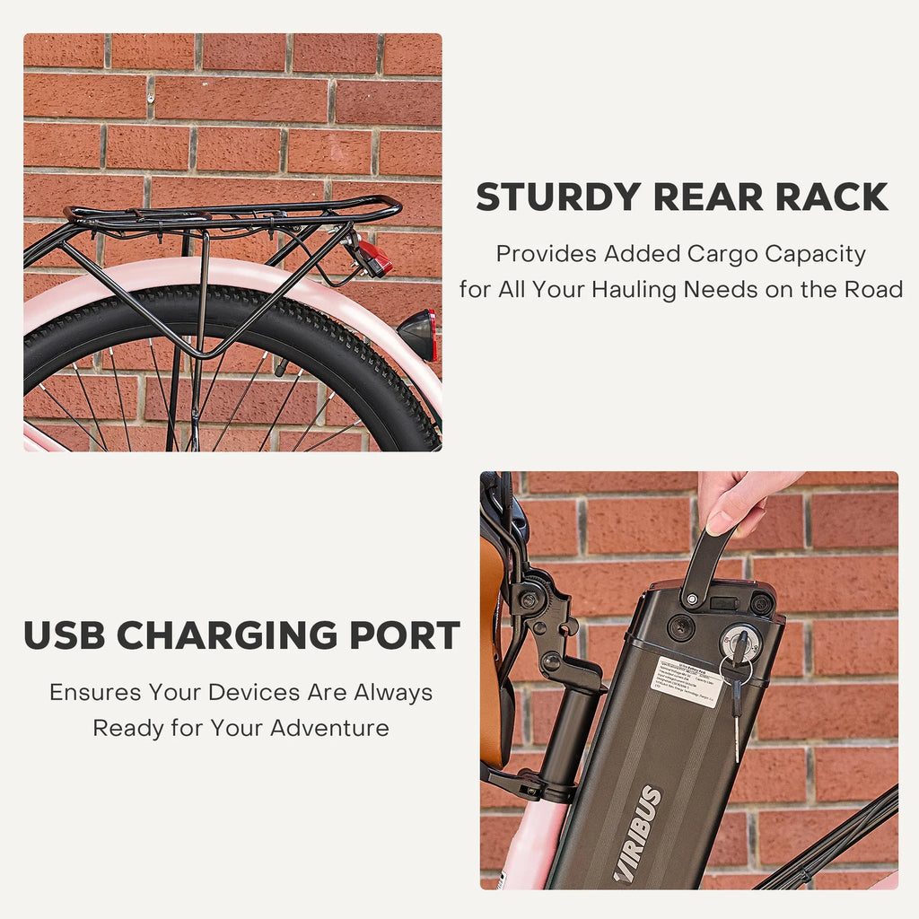 500W Electric Bike with 48V 13Ah Battery F3223