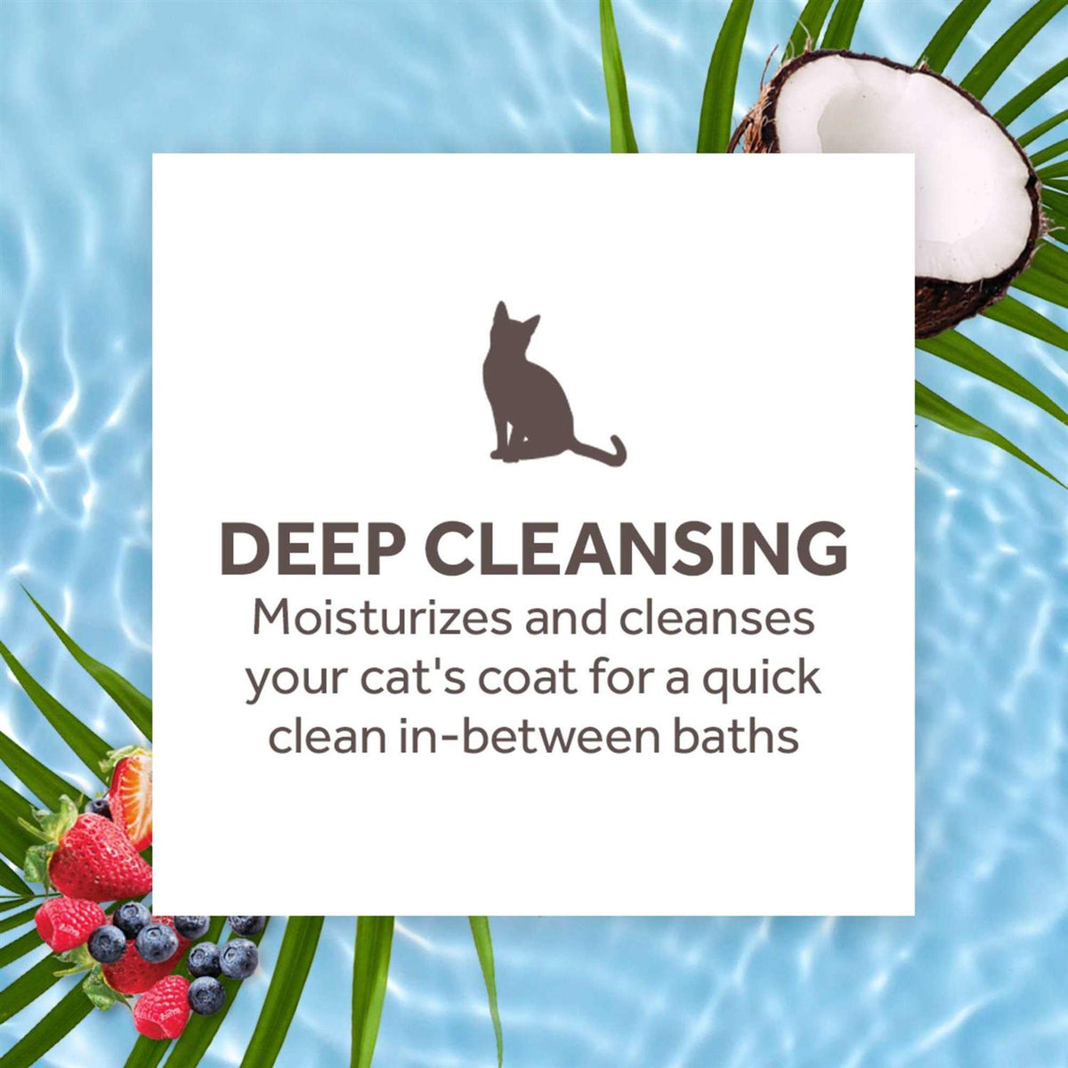 Waterless Deep Cleaning Cat Shampoo W1053