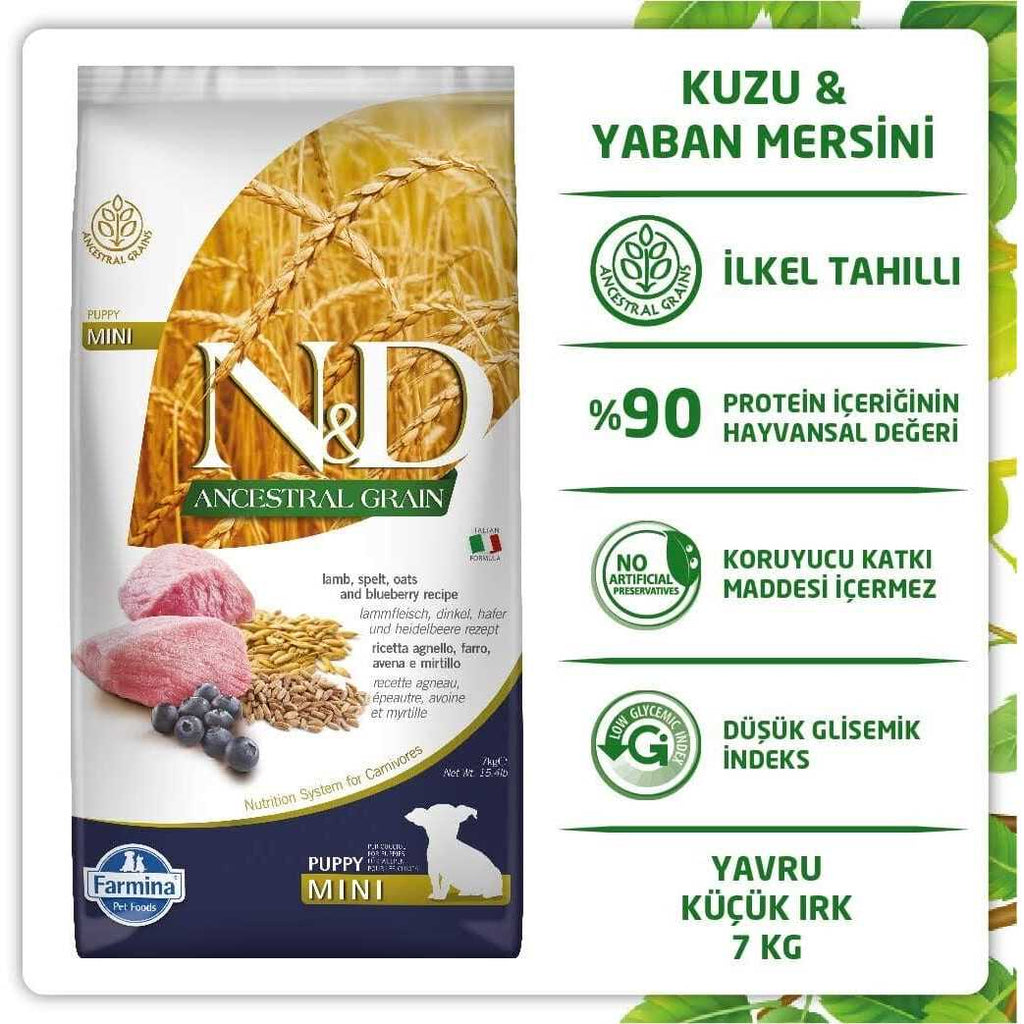 Lamb & Blueberry Dog Dry Food M538366