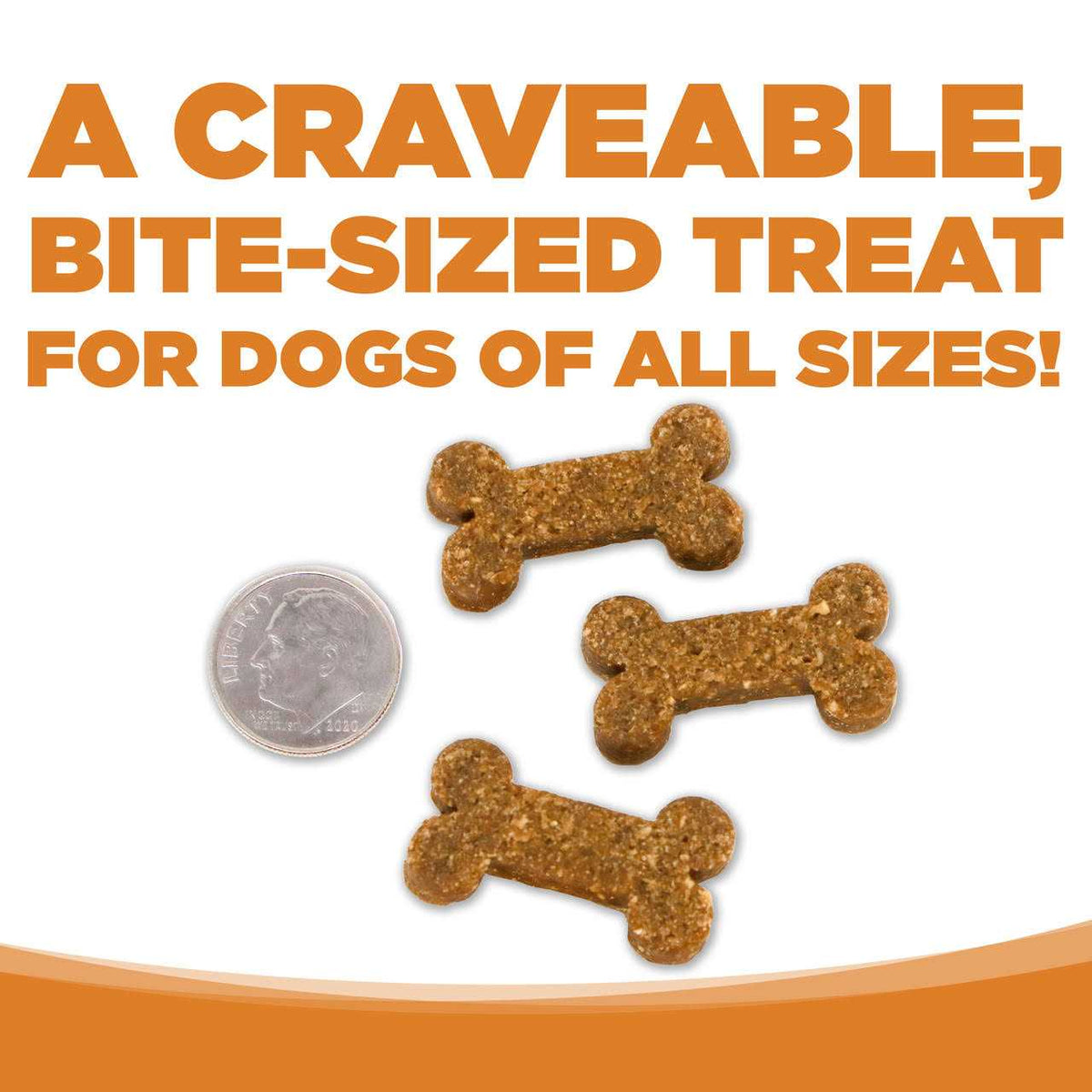 Soft & Tender Lamb Dog Treats M72273